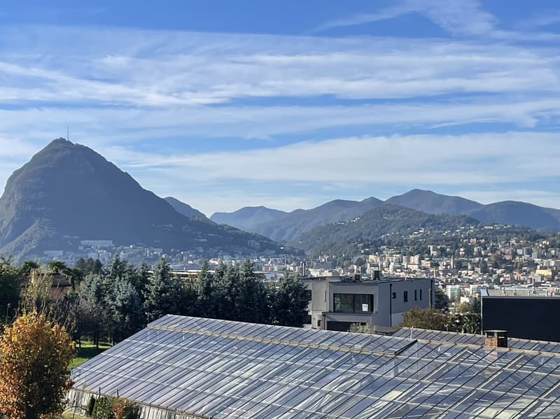 IL PIACERE DI ABITARE NEL NUOVO - APPARTAMENTO 3.5 LOCALI CON TERRAZZA (12)