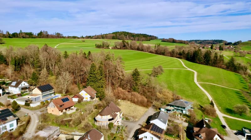 Aerial view of a neighborhood with several houses, green fields, and trees.