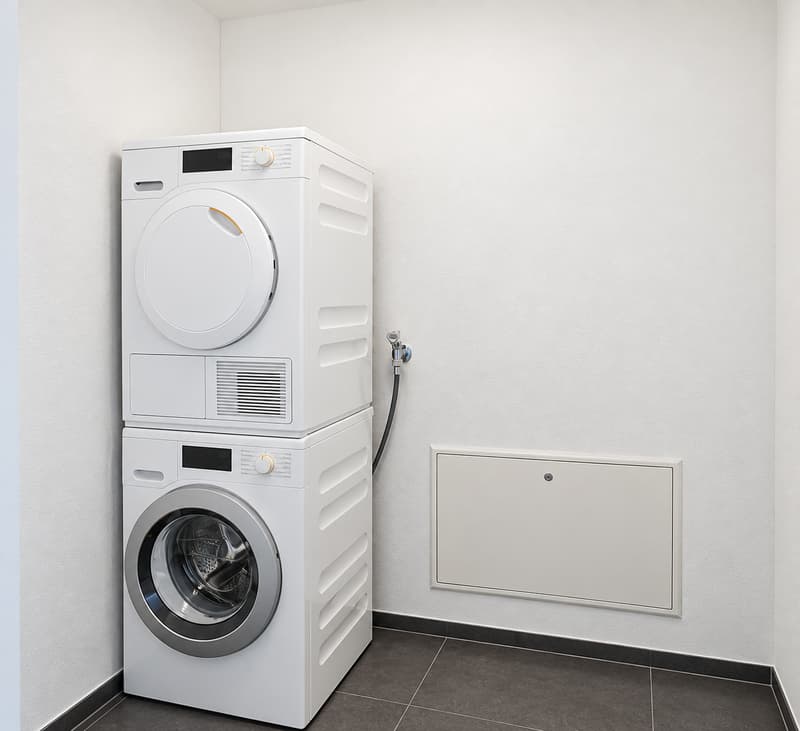 Imposante Attikawohnung mit grosser Terrasse – modern, ruhig und nachhaltig (9)