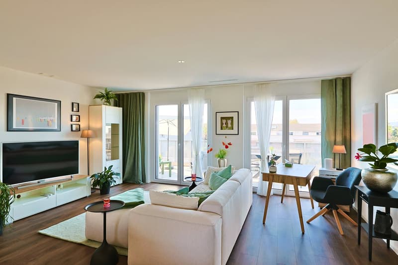 Imposante Attikawohnung mit grosser Terrasse – modern, ruhig und nachhaltig (4)