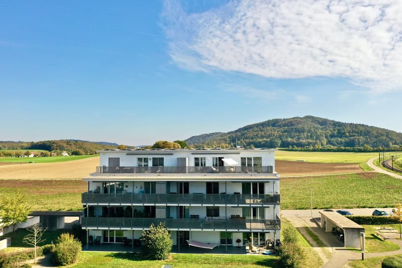 Imposante Attikawohnung mit grosser Terrasse – modern, ruhig und nachhaltig (3)