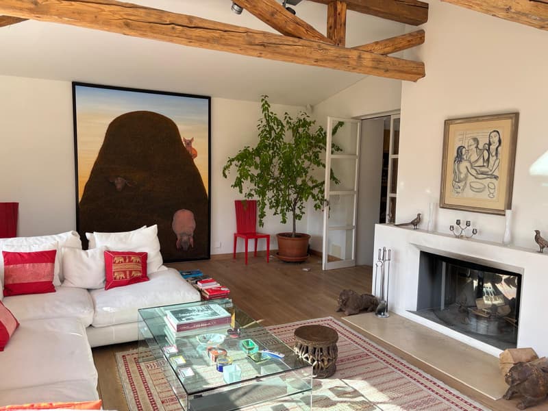Charming Swiss Village Home With Pool & Spa (4)