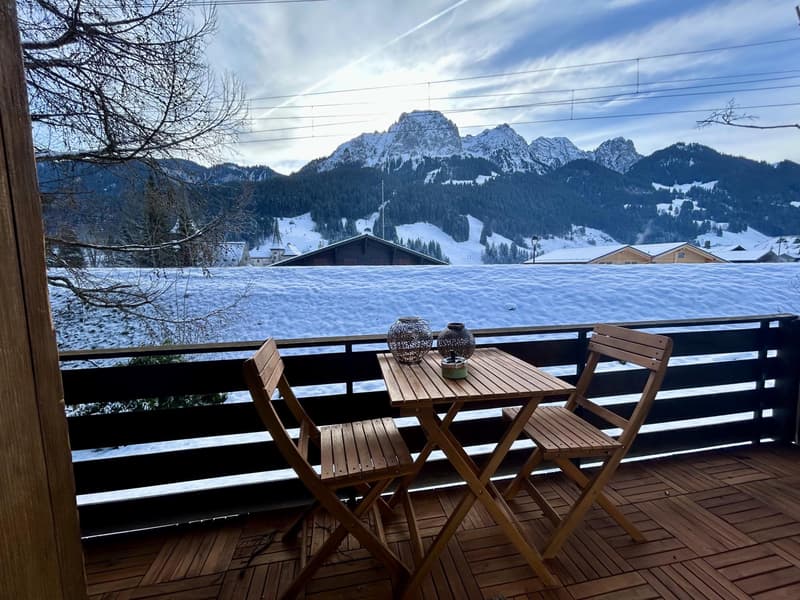 Cozy stand alone second residency Chalet in Rougemont village (5)