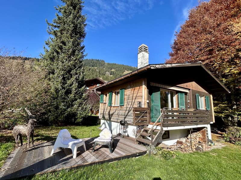 Cozy stand alone second residency Chalet in Rougemont village (12)