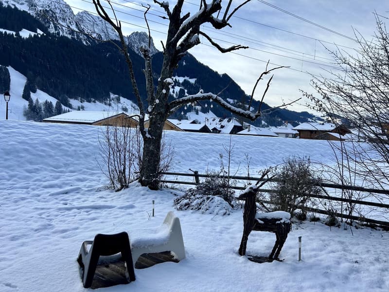 Cozy stand alone second residency Chalet in Rougemont village (11)