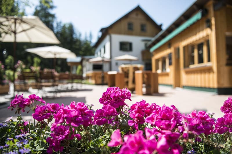 Boutique B&B near a Lake in Aussee, Austria (2)