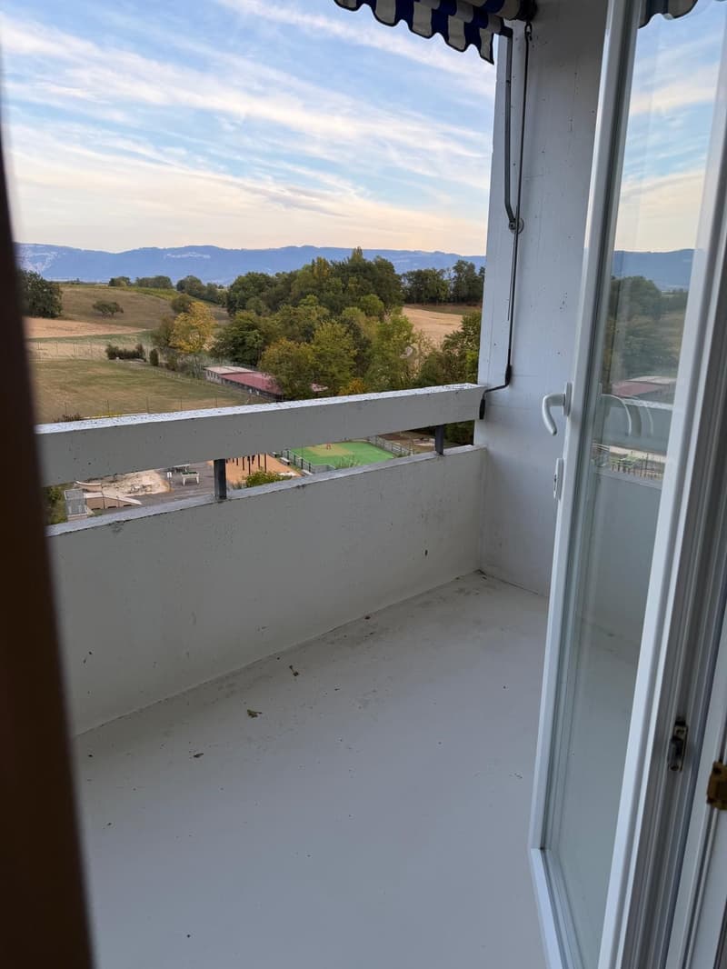 Appartement de 6 pièces avec balcon à Avully (4)