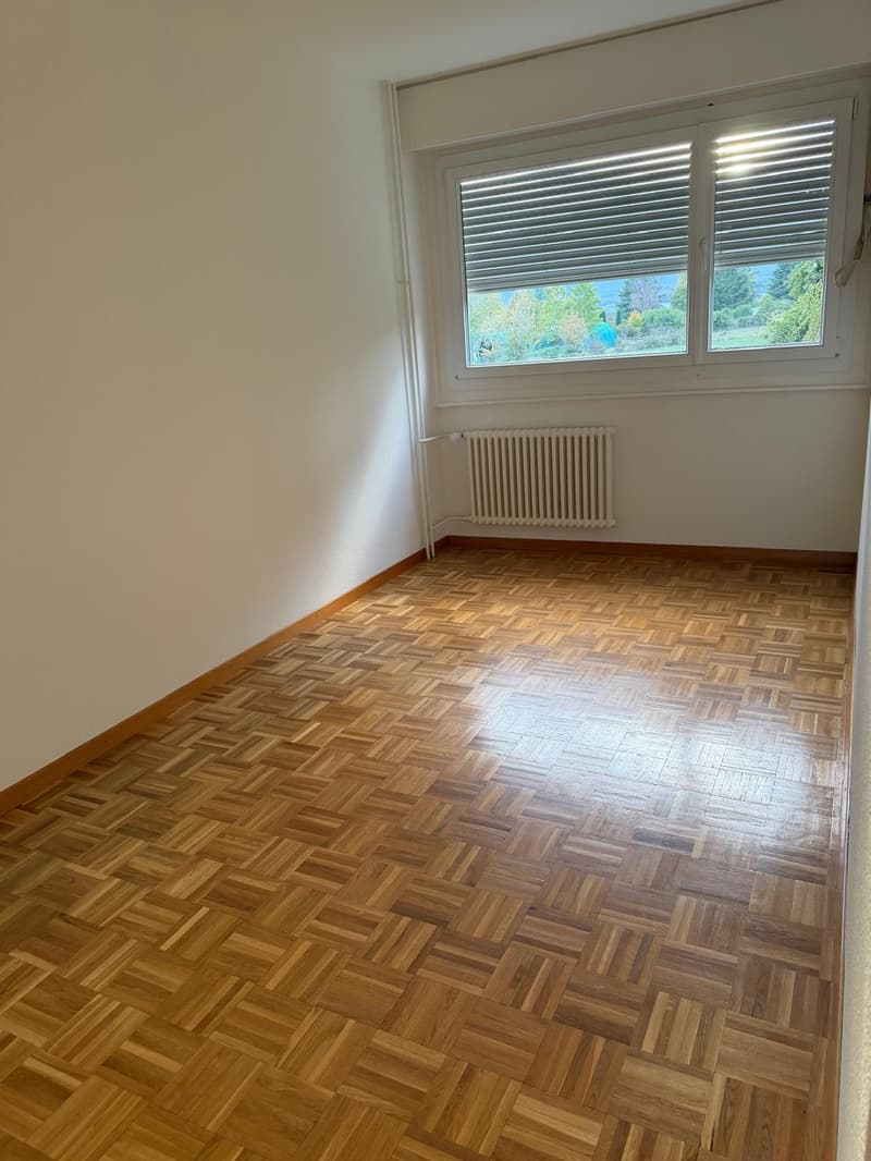 Appartement de 6 pièces avec balcon à Avully (6)