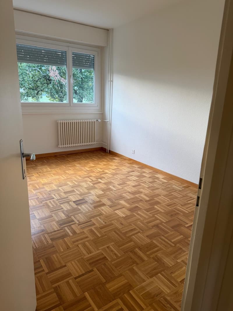 Appartement de 6 pièces avec balcon à Avully (5)