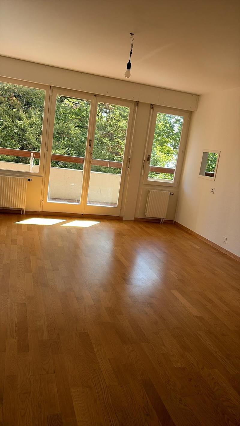 Appartement de 3 pièces avec balcon à Coppet – Disponible immédiatement (1)