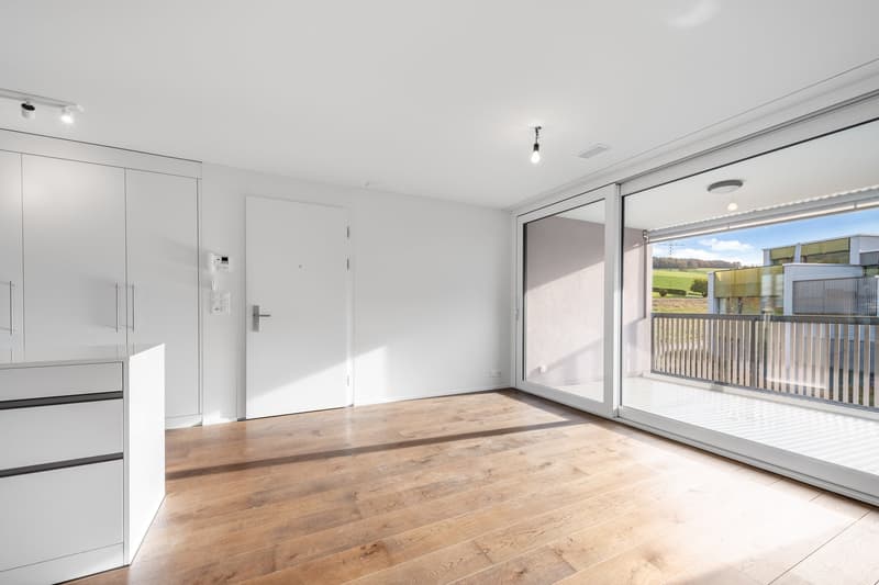 Exklusive 3.5-Zimmer-Attikawohnung in Oberrohrdorf (9)