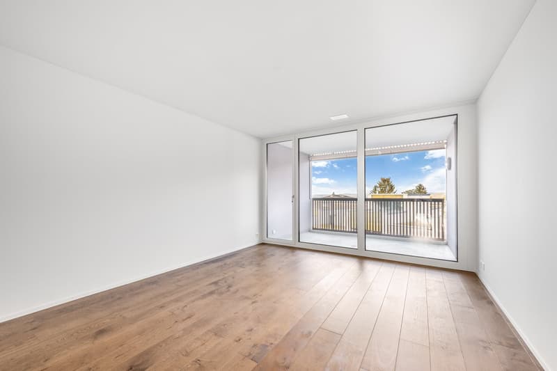 Exklusive 3.5-Zimmer-Attikawohnung in Oberrohrdorf (8)
