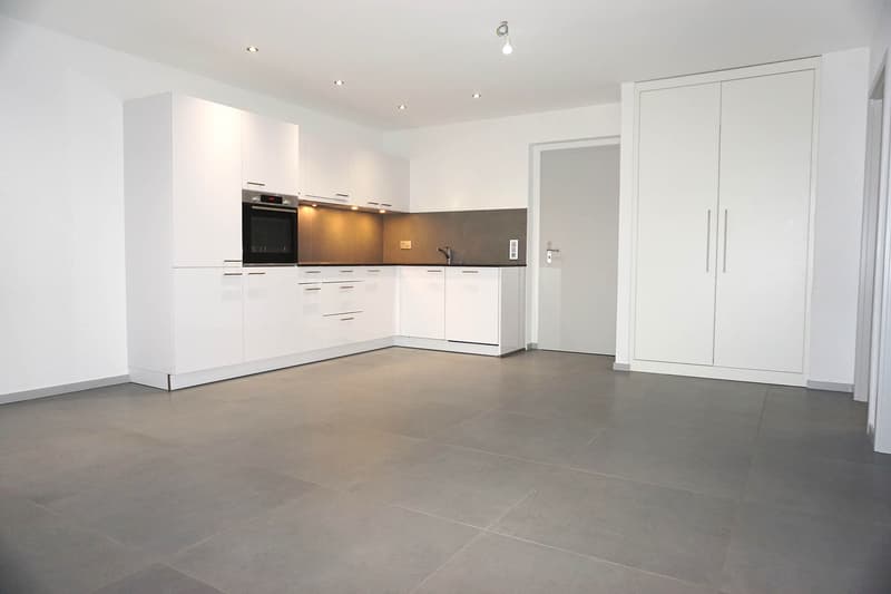 4 appartements de 2.5 pièces (4)