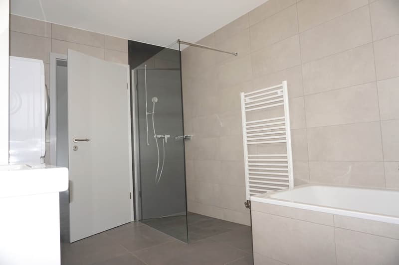 4 appartement de 3.5 pièces (4)