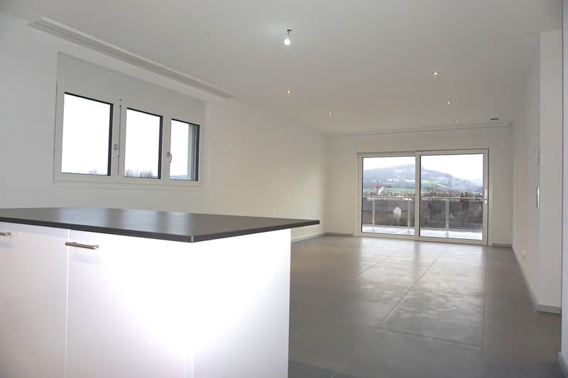 Appartement attique 2.5 pièces (4)