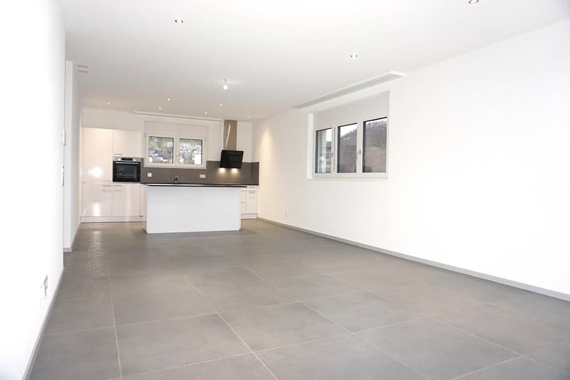 Appartement attique 2.5 pièces (3)