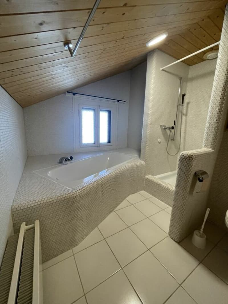 Attraktive Badewanne und Dusche