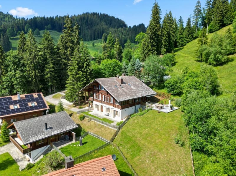 3,5 Zimmer-Dachwohnung (6)