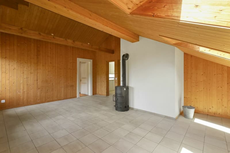 3,5 Zimmer-Dachwohnung (16)