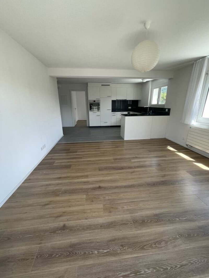 Sonnige 3 1/2-Zimmerwohnung mit Dachterrasse (2)
