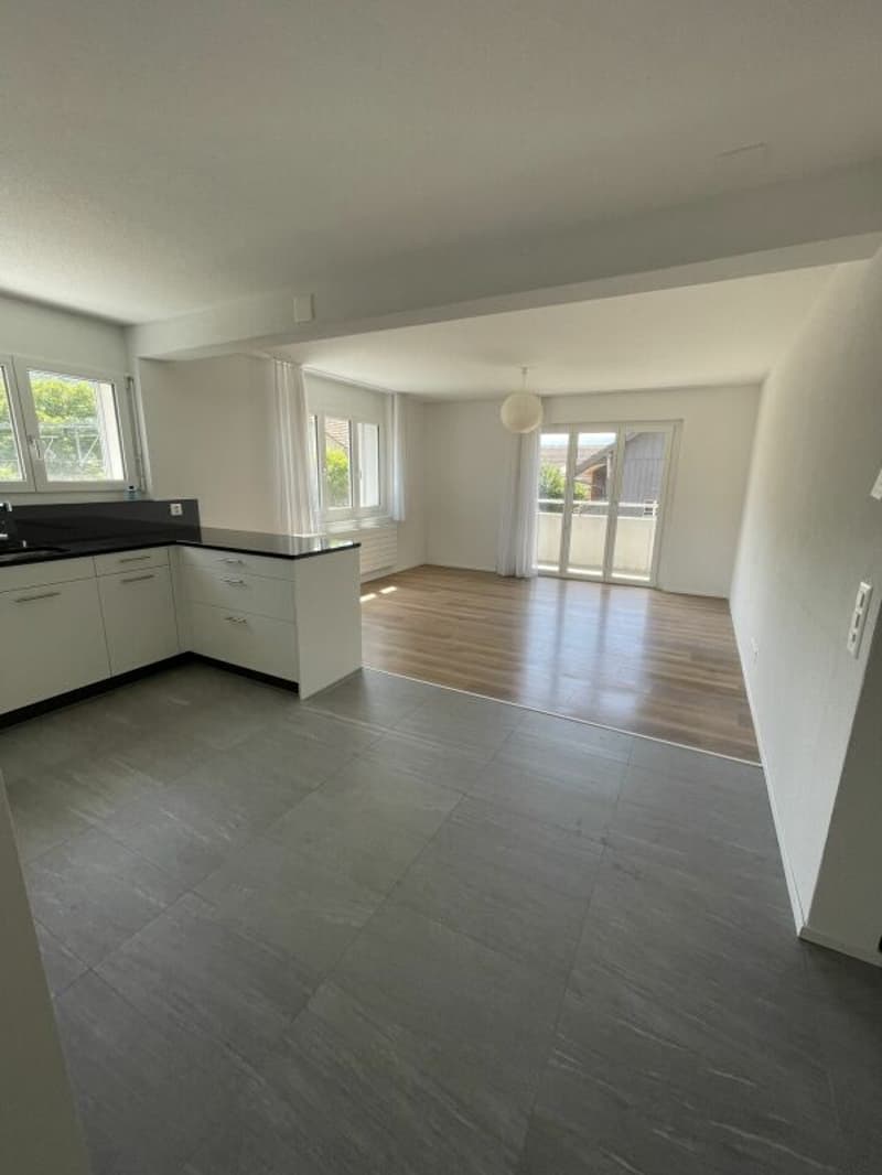 Sonnige 3 1/2-Zimmerwohnung mit Dachterrasse (4)