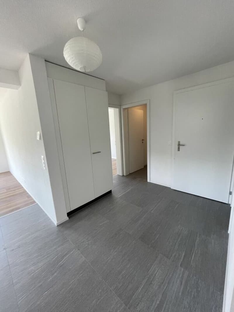 Sonnige 3 1/2-Zimmerwohnung mit Dachterrasse (7)
