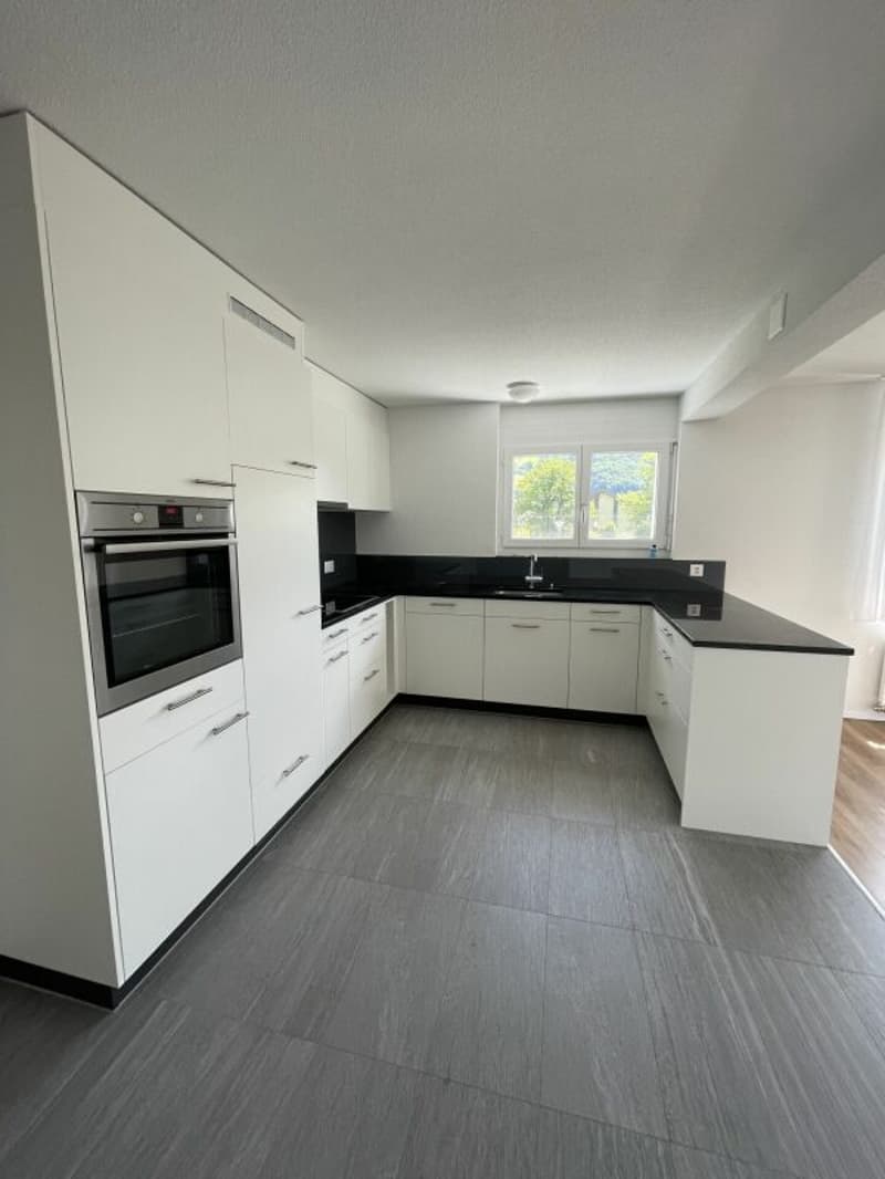 Sonnige 3 1/2-Zimmerwohnung mit Dachterrasse (8)