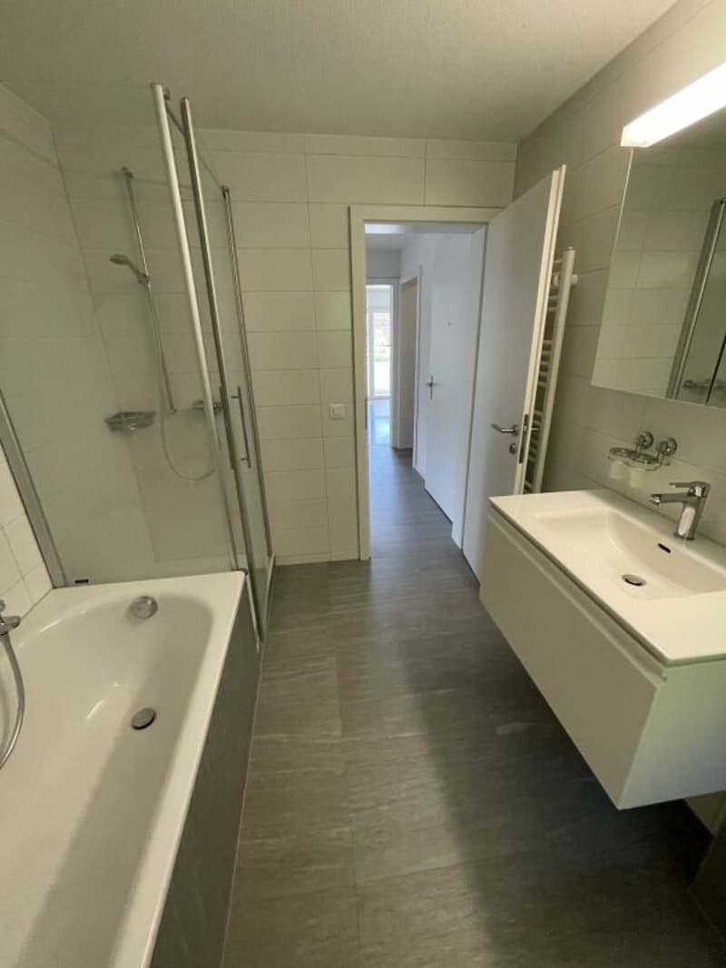 Sonnige 3 1/2-Zimmerwohnung mit Dachterrasse (3)
