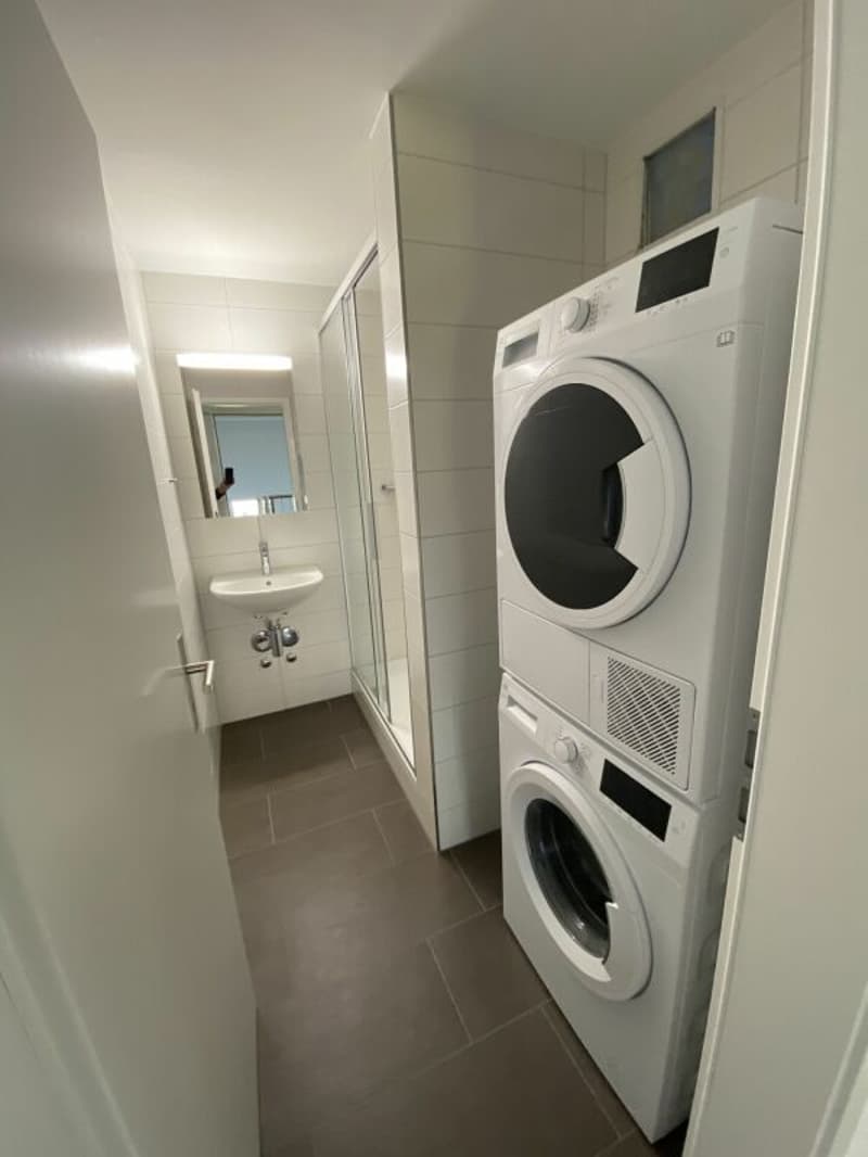 Grossaffoltern 4,5 Zi. Wohnung 2. OG (9)