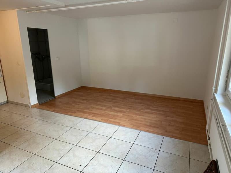 Studio direkt am Bahnhof Kaufdorf (1)