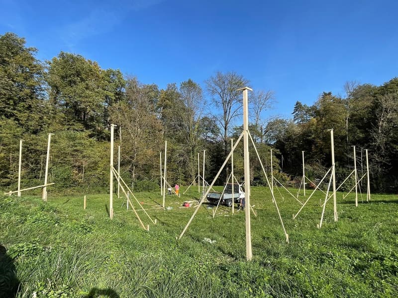 Terreno edificabile in posizione tranquilla ad Arcegno (8)