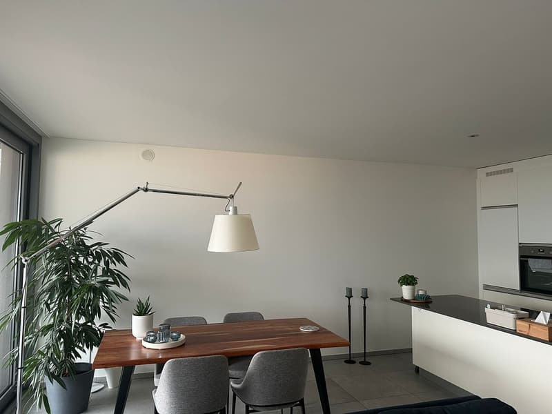 Moderno appartamento di 4.5 locali al 1 piano con terrazza (1)