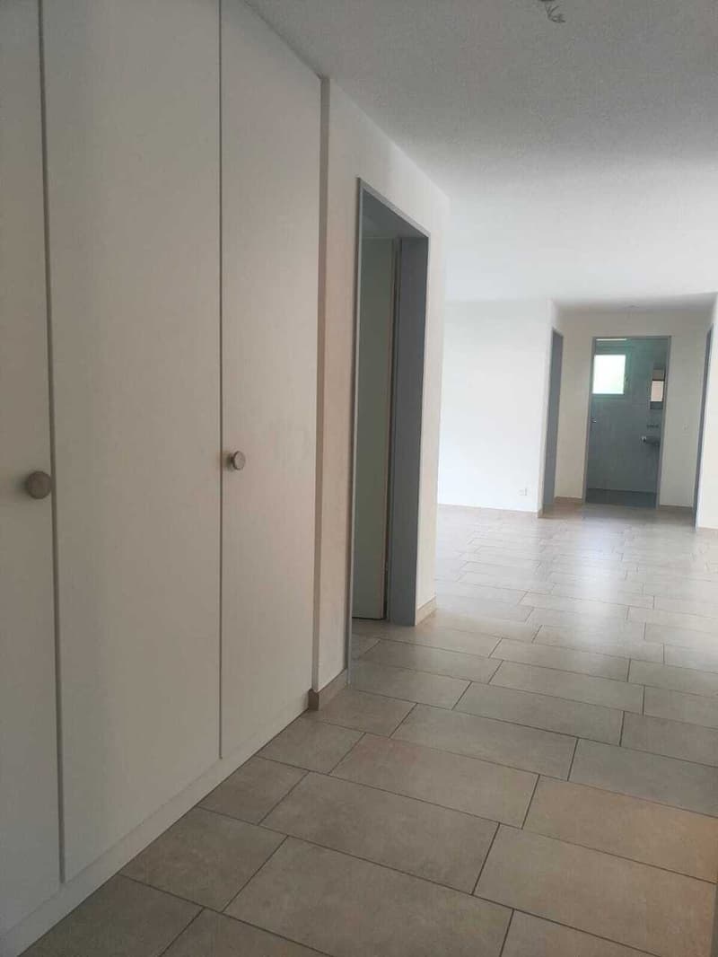 Cercasi subentrante per appartamento di 4.5 locali a Losone (10)