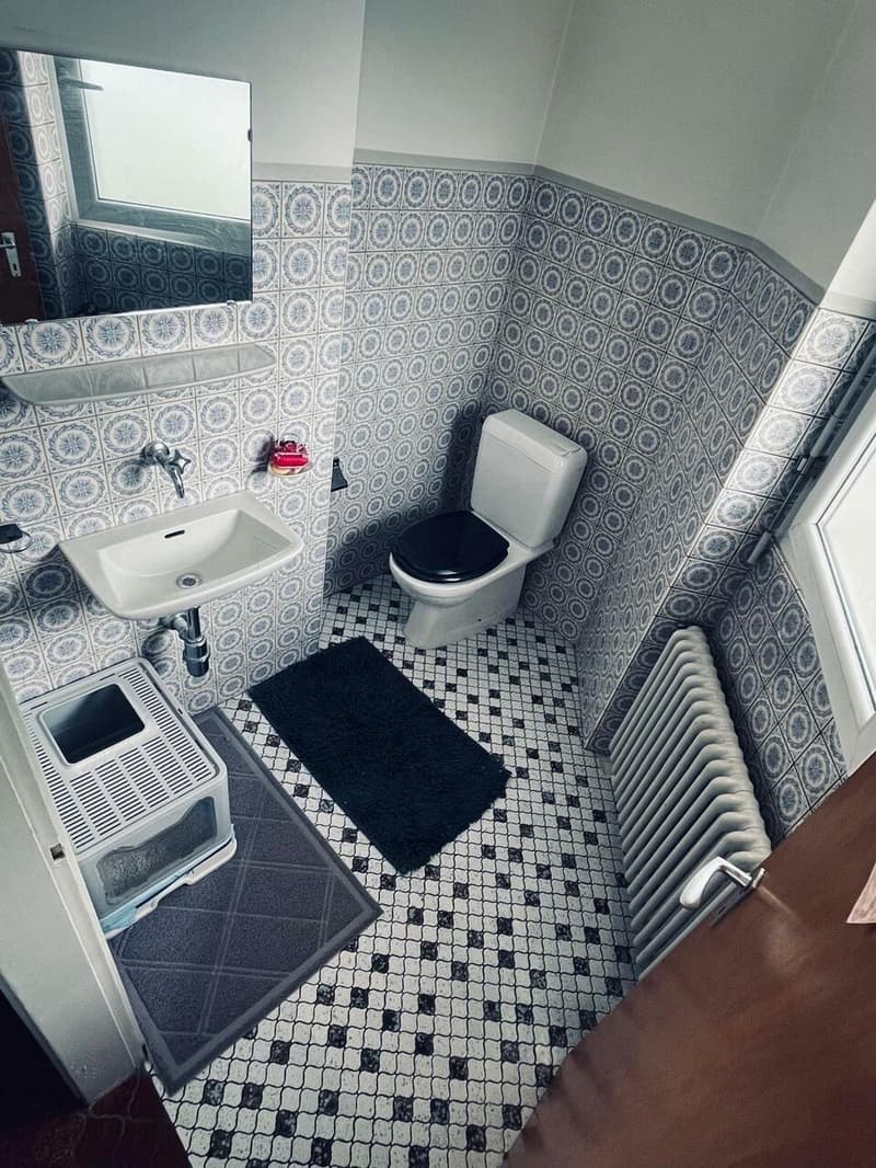Vendesi appartamento di 5.5 locali al primo piano in casa bifamiliare (7)