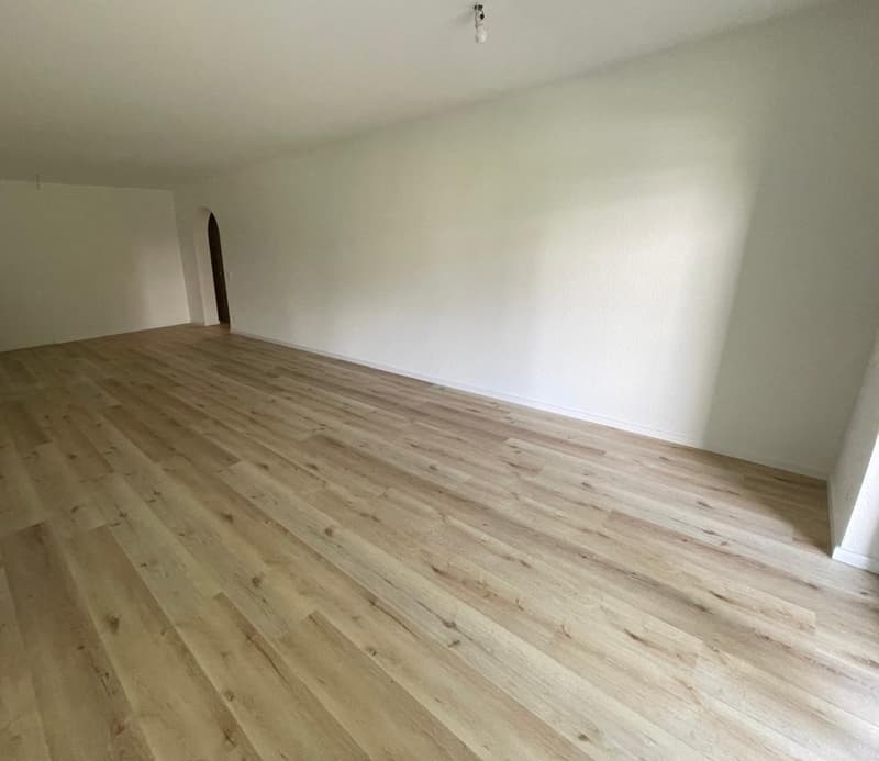Affittasi appartamento di 4.5 locali in zona tranquilla di Ascona (6)