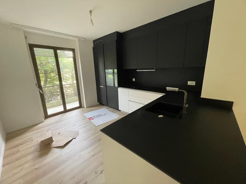 Affittasi appartamento di 4.5 locali in zona tranquilla di Ascona (2)