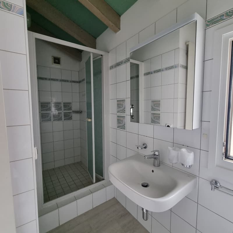 Affittasi appartamento duplex di 2.5 locali ad Ascona (6)