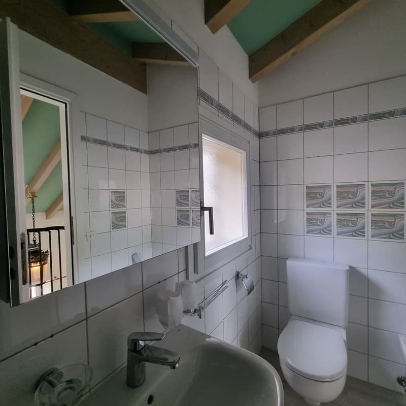 Affittasi appartamento duplex di 2.5 locali ad Ascona (7)