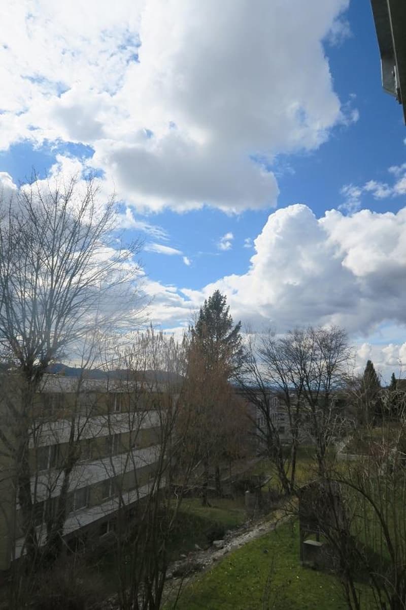 3-Zimmerwohnung mit Blick auf die Alpen (9)