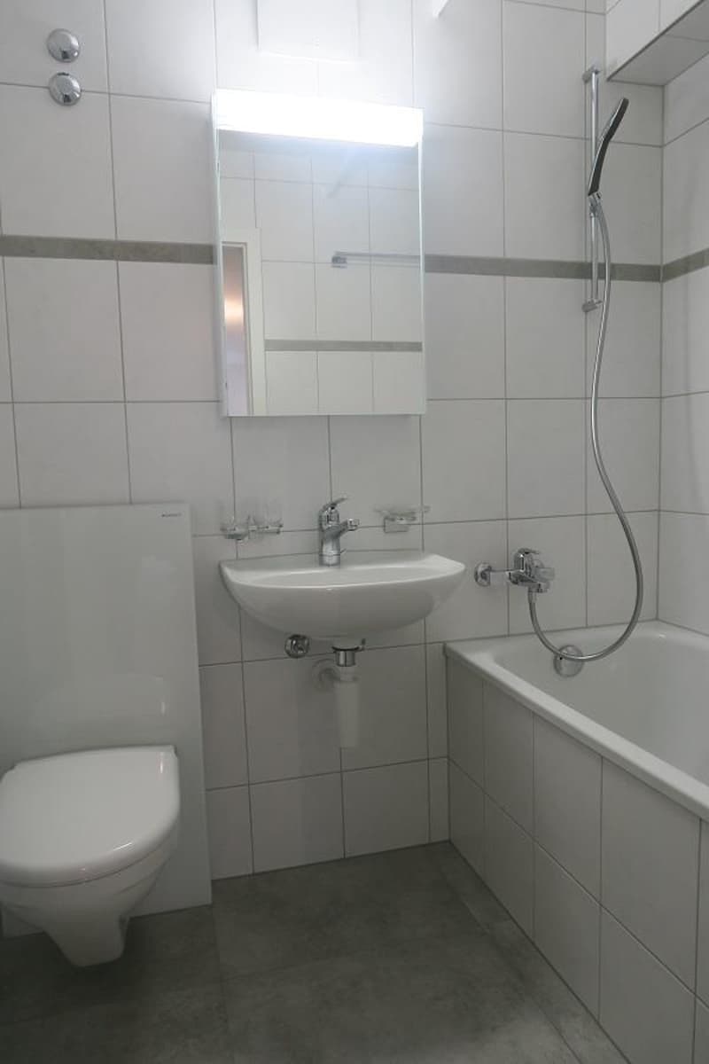 3-Zimmerwohnung mit Blick auf die Alpen (8)