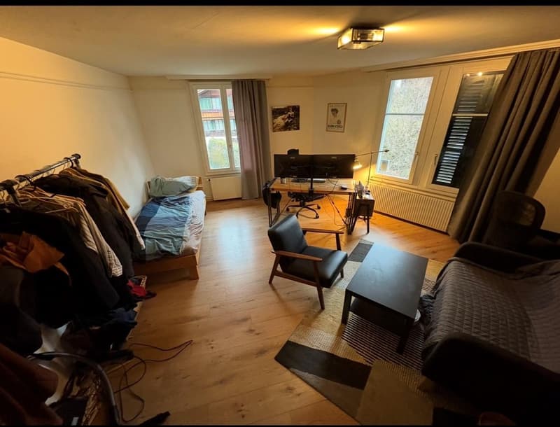 1.5 Zimmerwohnung mit Bergsicht (2)