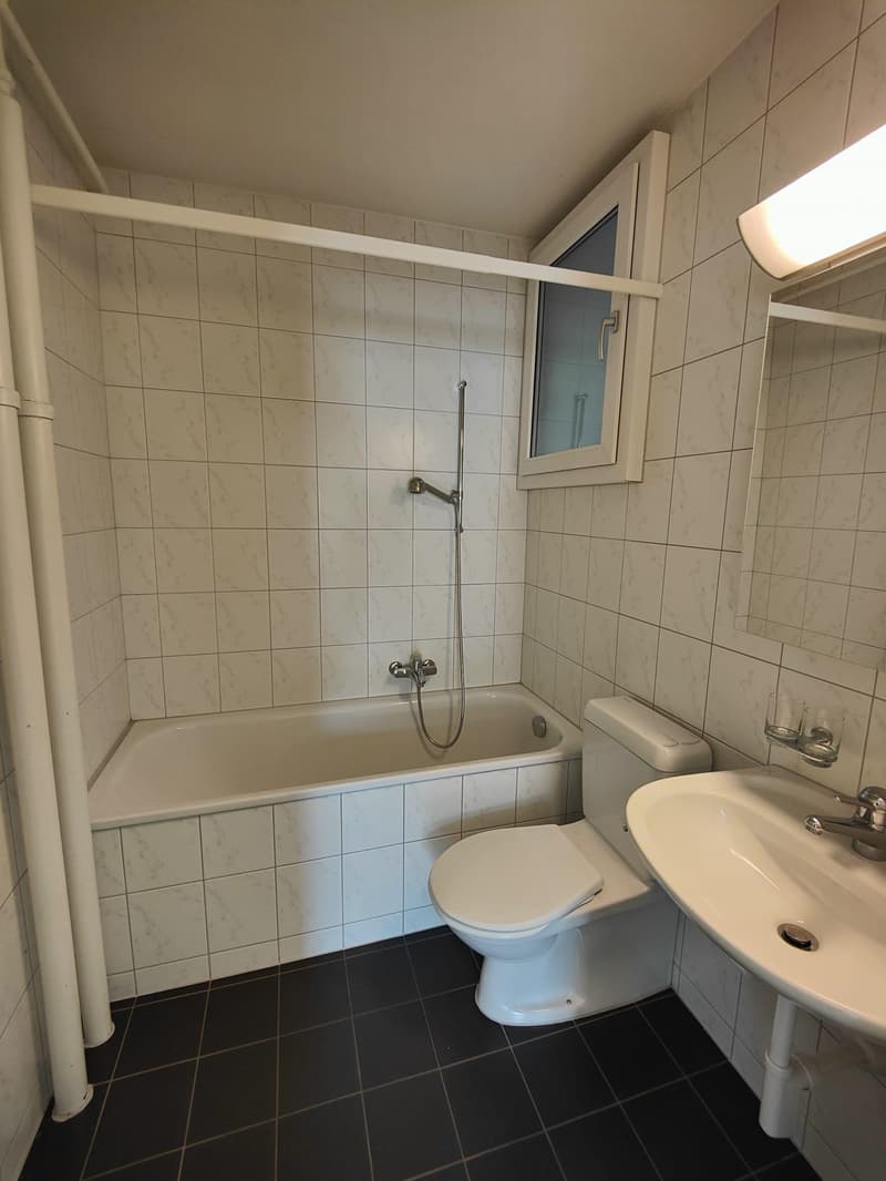 Ruhig wohnen im Sandrainquartier  1-Zimmerwohnung für Studierende (4)