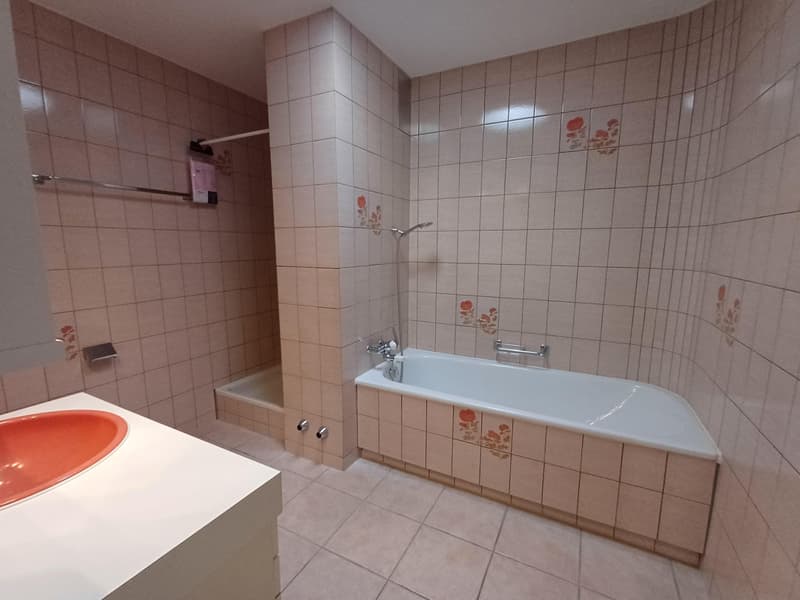 Attikawohnung mit Weitblick im Brunnadern-Quartier (7)