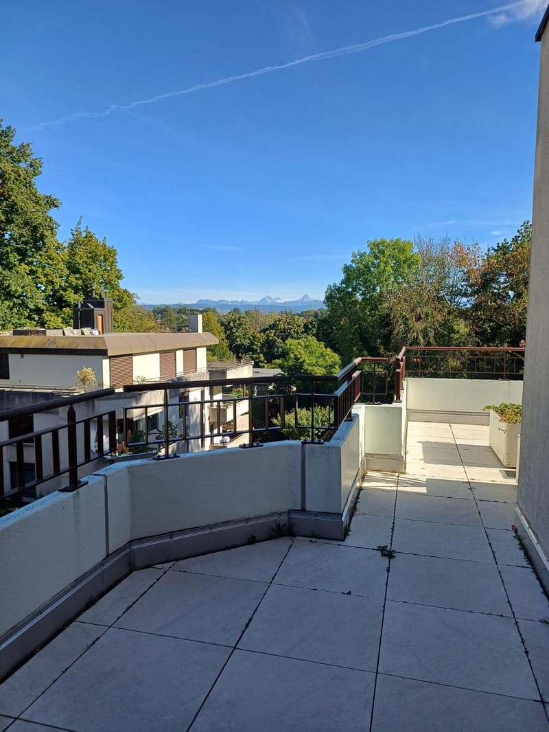 Attikawohnung mit Weitblick im Brunnadern-Quartier (10)