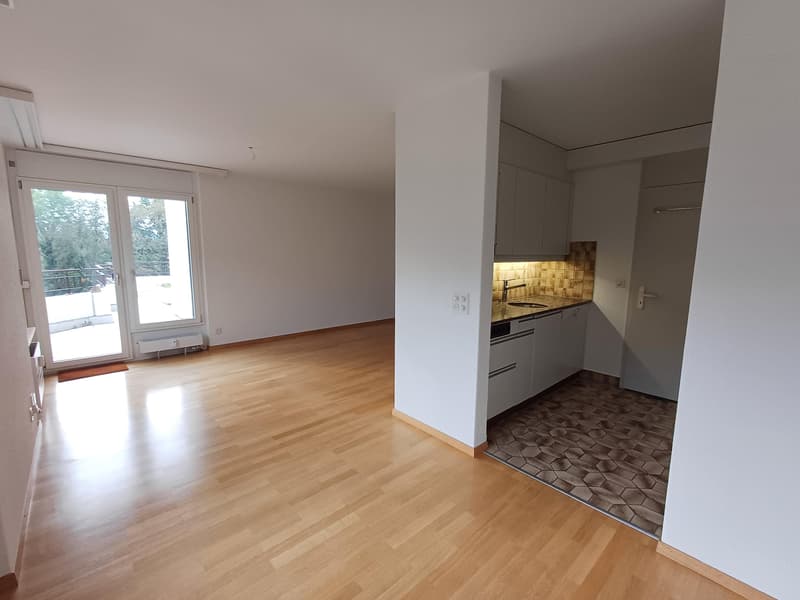 Attikawohnung mit Weitblick im Brunnadern-Quartier (3)