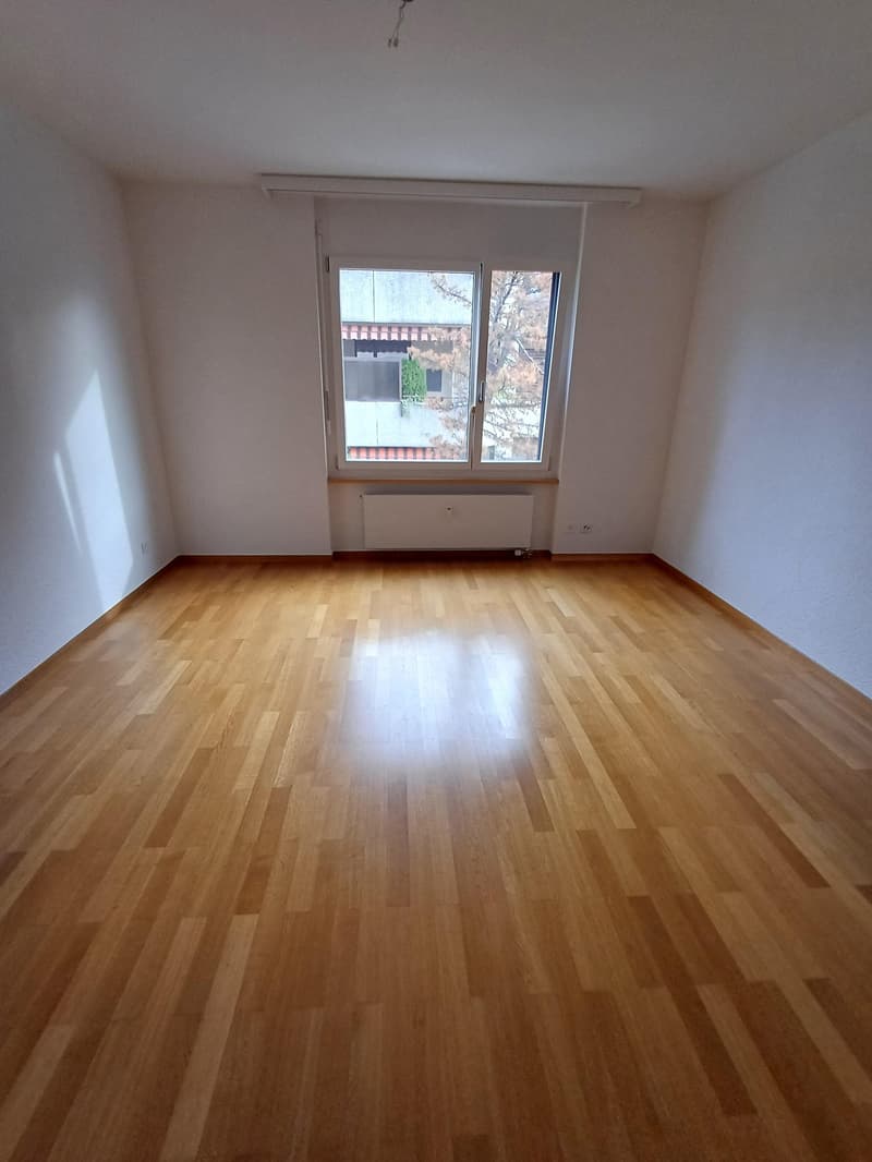 Attikawohnung mit Weitblick im Brunnadern-Quartier (4)