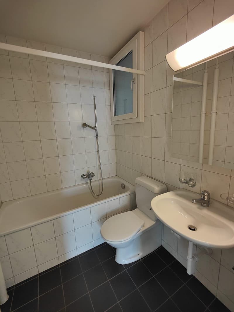 Ruhig wohnen im Sandrainquartier  1-Zimmerwohnung für Studierende (3)
