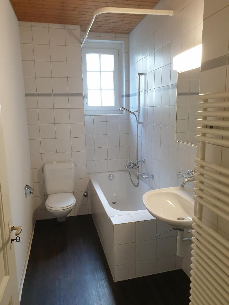 Ihre neue 3-Zimmerwohnung im Gryphenhübeli (2)