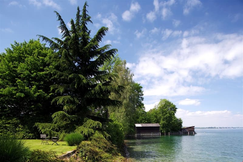 Charmante Villa mit direktem Seeanstoss (3)