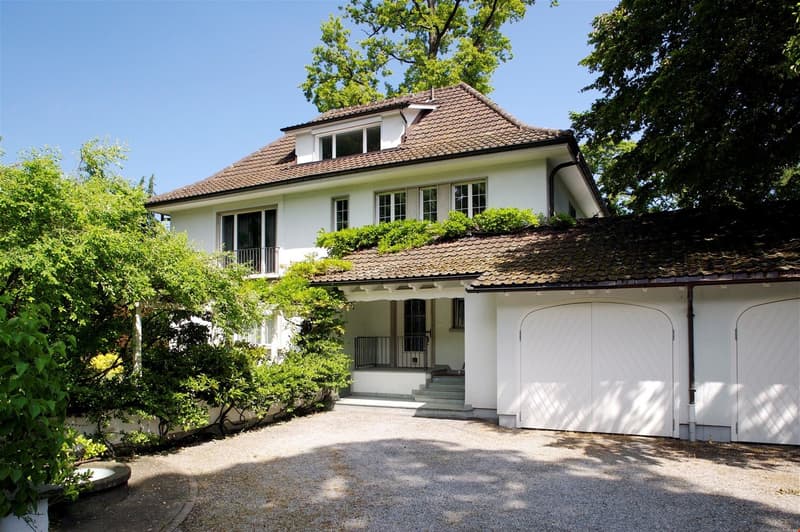 Charmante Villa mit direktem Seeanstoss (1)